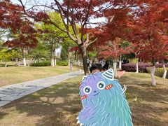 -白塘生态植物园