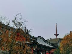 -莲池书院博物馆