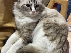 -白兔子密室(长寿路店)