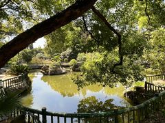 -东湖落雁景区