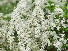 -共青国家森林公园-售票处