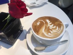 -BLACKSWAN黑天鹅(环球店)