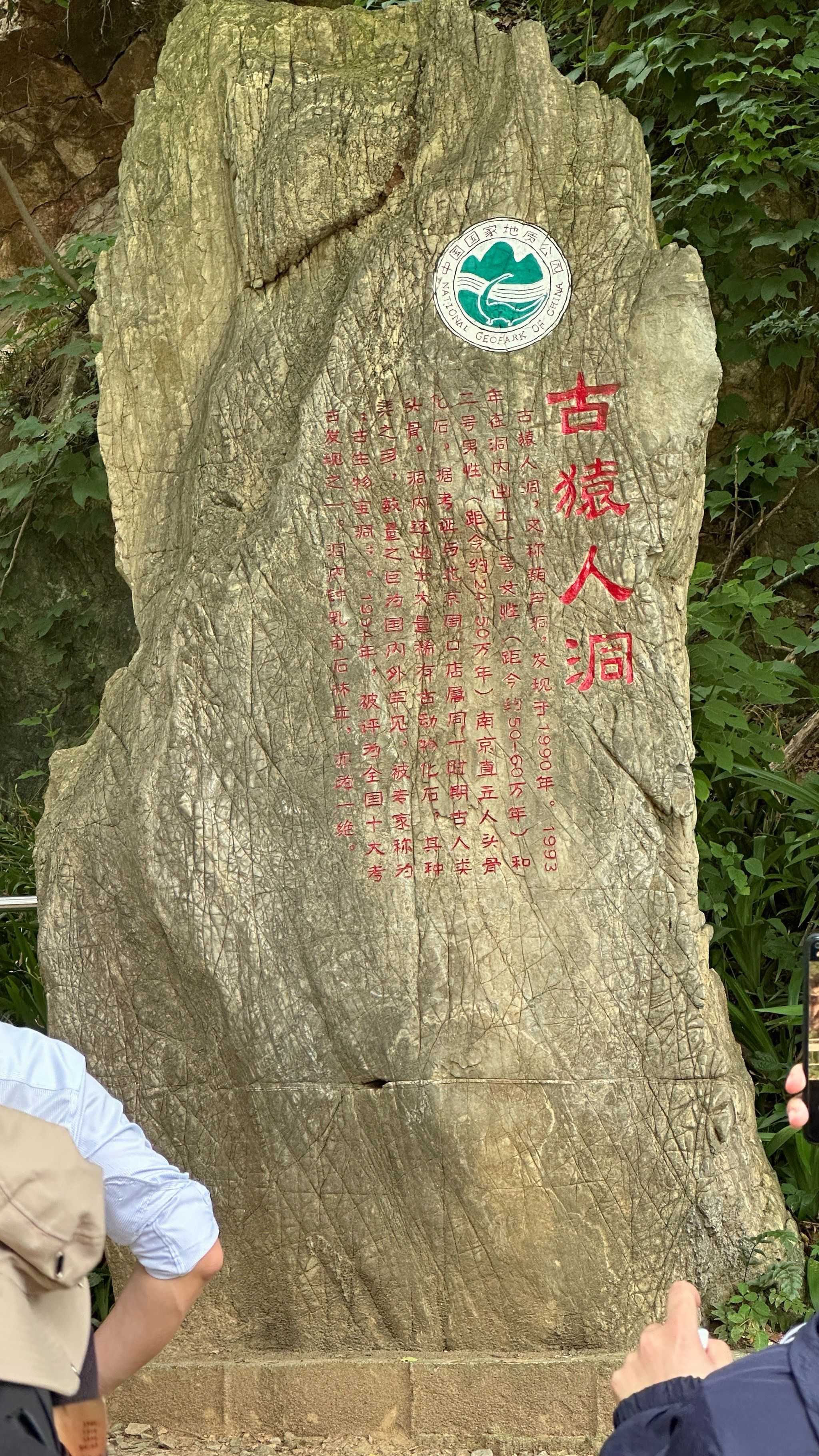 天天领红包南京汤山猿人洞「南京古猿人洞景区」