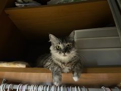 -荔康动物医院(康王北路店)