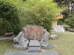 -深圳国际园林花卉博览园