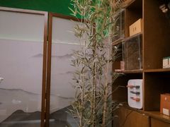 -端艾堂·SPA·艾灸(棕榈泉013店)