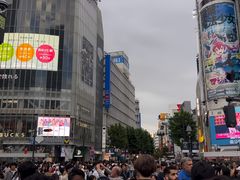 -涩谷区
