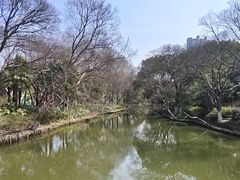 -红梅公园