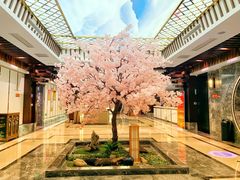-添赐温泉馆(上南路店)