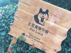 -上海崇明金茂凯悦酒店