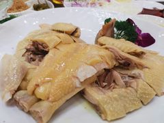 -海晖酒楼·顺德鱼生(荣华店)