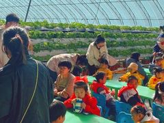 -瑞思少儿中心·少儿英语素养启蒙(勒泰直营校区)