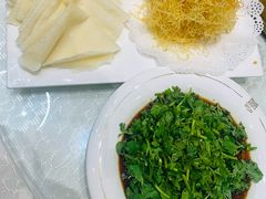 -丁老爷子苏香圆