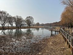 -苏州太湖湖滨国家湿地公园