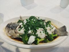 香葱灼鲈鱼-廣味潮鲜·一品潮滋味(五道口店)
