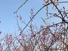 -白塘生态植物园