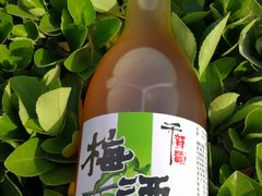 -桃屋日本料理(清华科技园店)