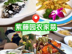 -紫藤园·天目湖大鱼头(南山竹海店)