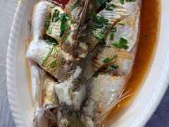 -小六农家乐(崇明西沙湿地店)