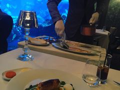 -迪拜帆船酒店海底餐厅