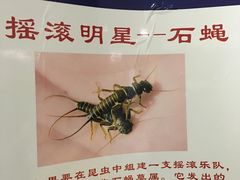 -上海昆虫博物馆