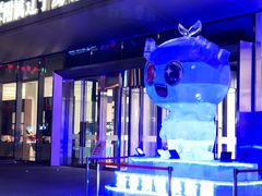 -东北大学附属辽宁爱尔眼科医院