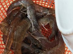 -濠轩阁特色生蚝火锅(水湾路店)