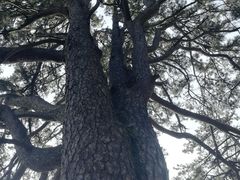 -终南山南五台景区