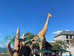 -西霞口神雕山野生动物世界