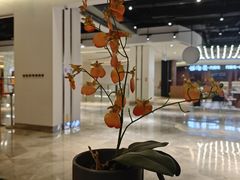 -游You House(西单老佛爷店)