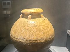 -亳州博物馆