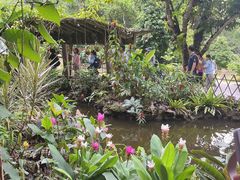 -中国科学院西双版纳热带植物园