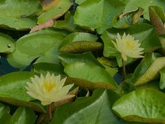 -白鹭湾湿地公园