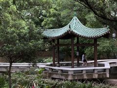 -九龙公园