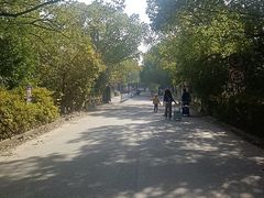 -嘉北郊野公园