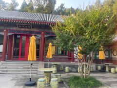 -宫事颐庭·老佛爷贵寿下午茶(颐和园店)