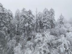 -瓦屋山景区