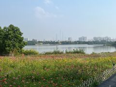 -海珠湖公园