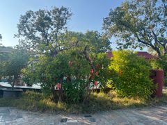 -汕头莲花山度假村温泉