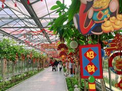 -南宫五洲植物乐园