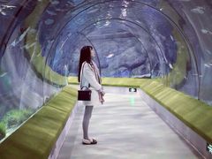 -福州罗源湾海洋世界旅游区