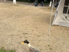 -长广溪湿地公园