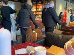 -百好乐宠物友好餐厅(朝外大街店)