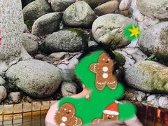 -三江森林温泉度假区