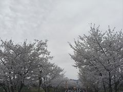 -长田漾湿地公园