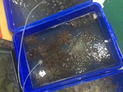 -QQ海鲜餐厅