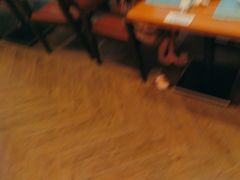 -亚龙湾希尔顿自助餐厅·海鲜·烧烤·沙滩BBQ·现场乐队