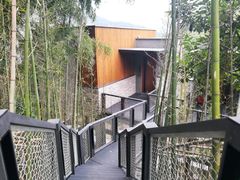 -宁海安岚·南溪阁全日餐厅