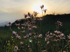 -房山世界地质公园博物馆