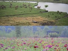 -溱湖国家湿地公园